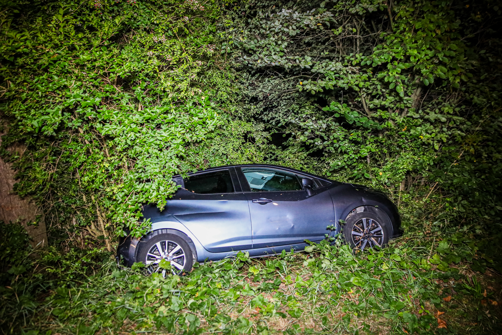 Auto belandt in struiken en mist vijver op een haar na
