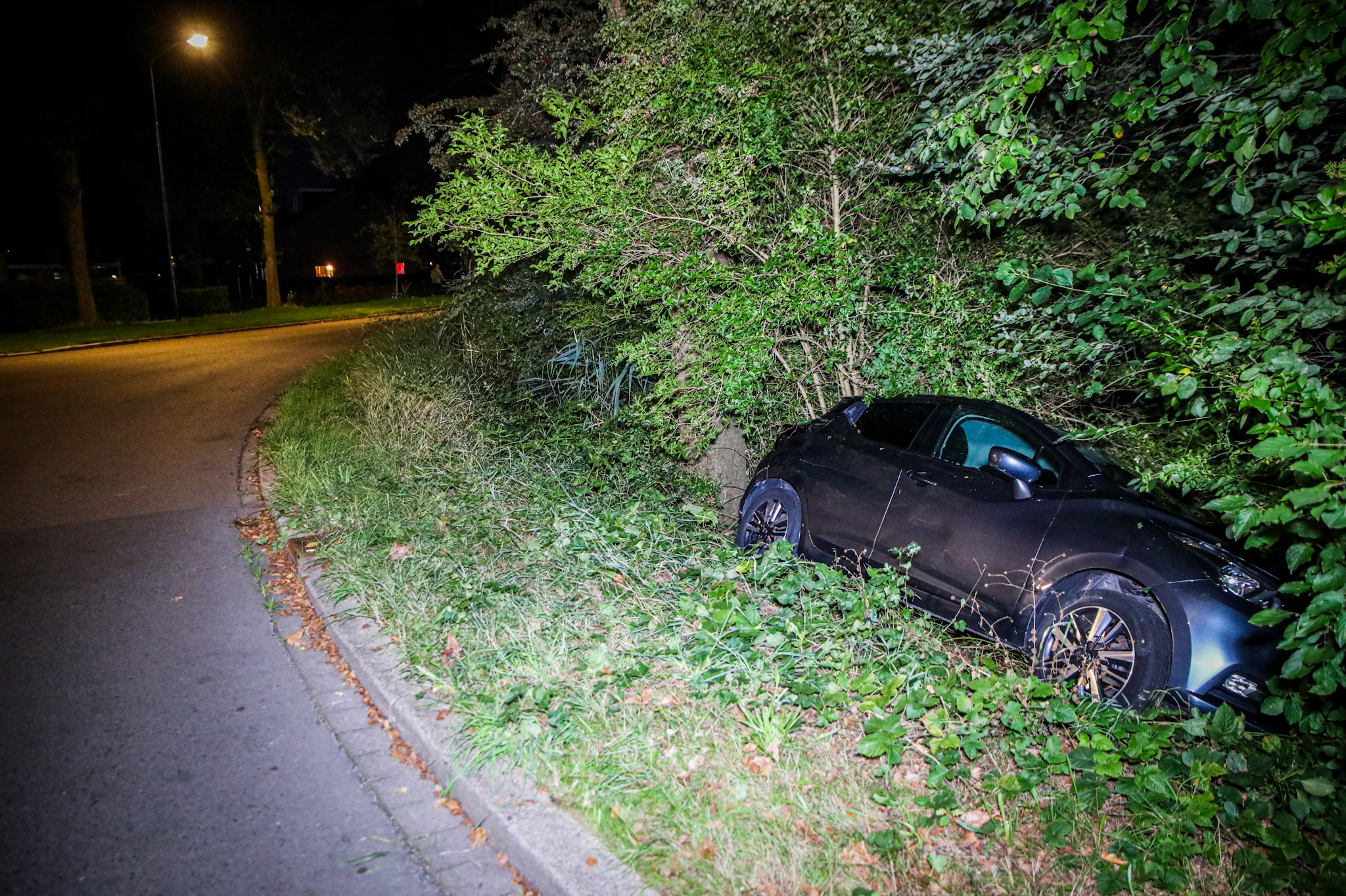 Auto belandt in struiken en mist vijver op een haar na - foto