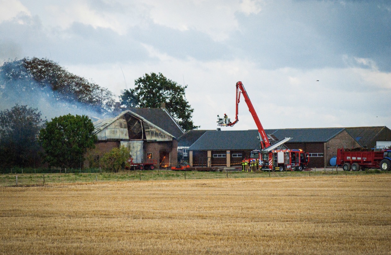 Zeer grote brand in stal; meerdere stieren omgekomen - foto