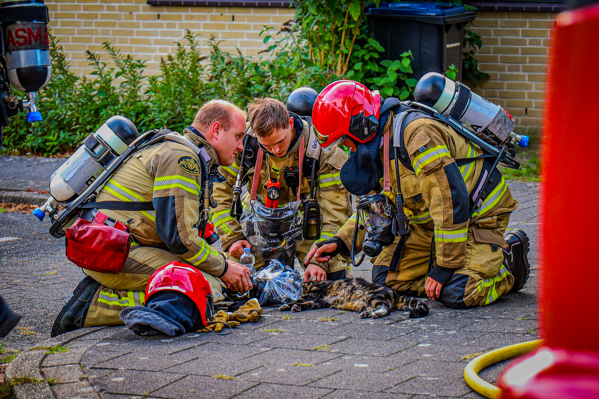 Brandweermensen redden kat uit brandende woning - foto