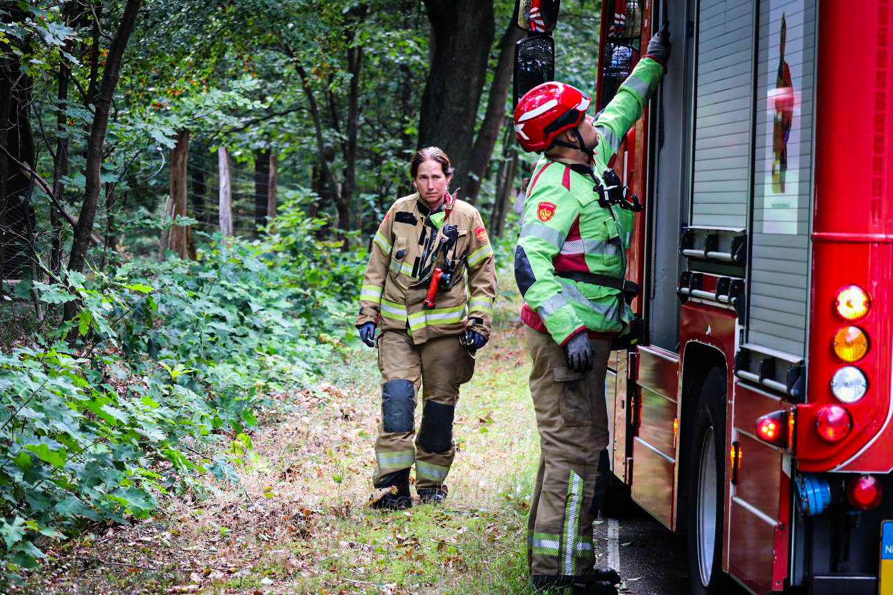 Vrouw gewond na eenzijdig ongeval, auto eindigt tegen boom in bos - foto