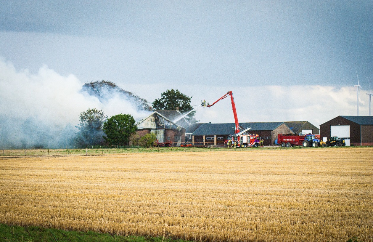Zeer grote brand in stal; meerdere stieren omgekomen - foto