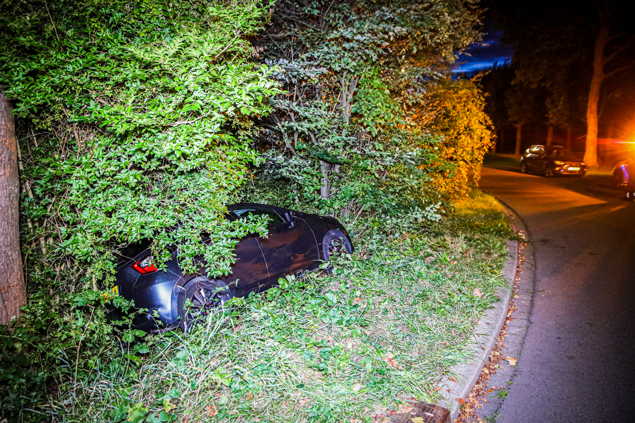 Auto belandt in struiken en mist vijver op een haar na - foto