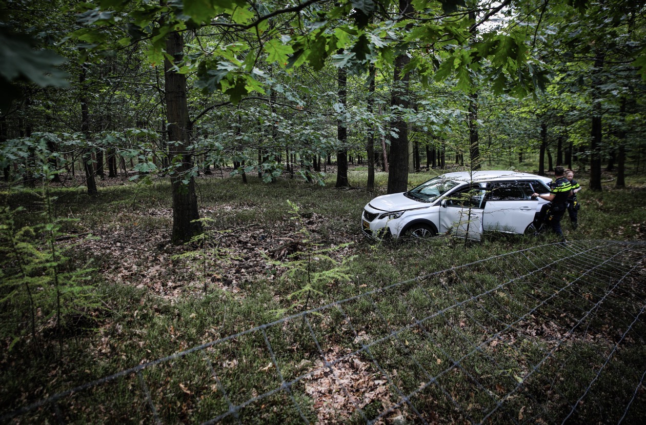Vrouw gewond na eenzijdig ongeval, auto eindigt tegen boom in bos