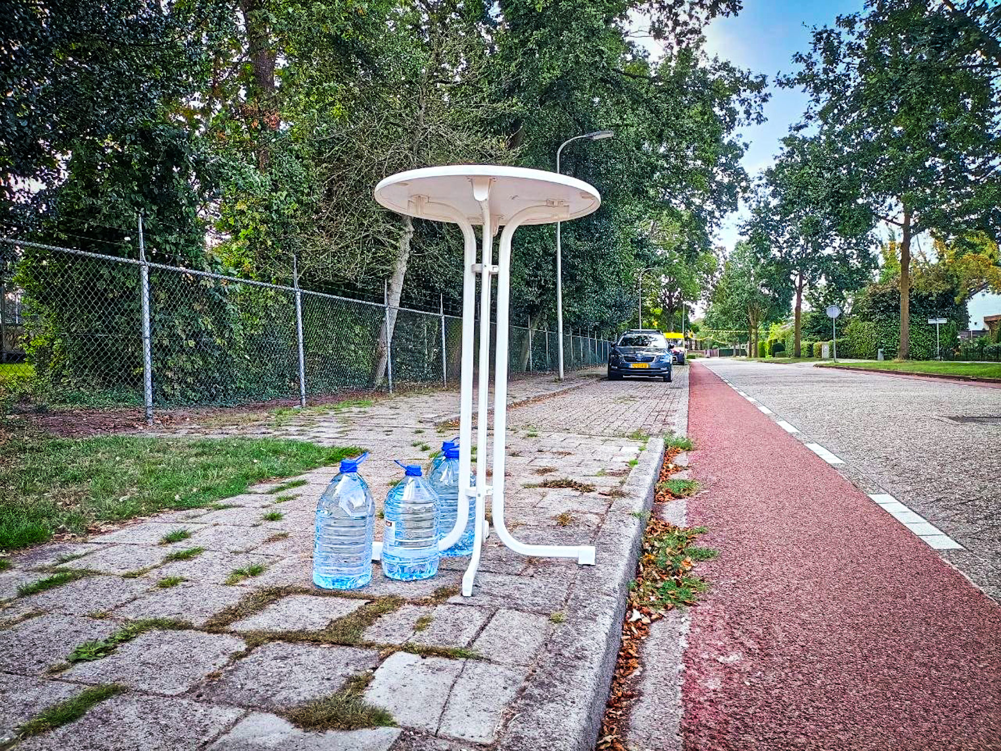 Stöppelhane van start: Raalte staat dagenlang in het teken van oogstfeest - foto